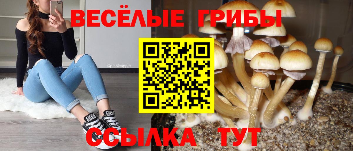 Кувандык  Псилоцибиновые грибы ЛСД  Вход с VPN 